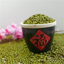 Nueva cosecha china Green Mung Beans